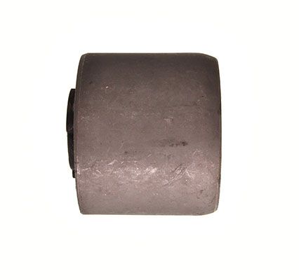 Mounting, transfer case-1