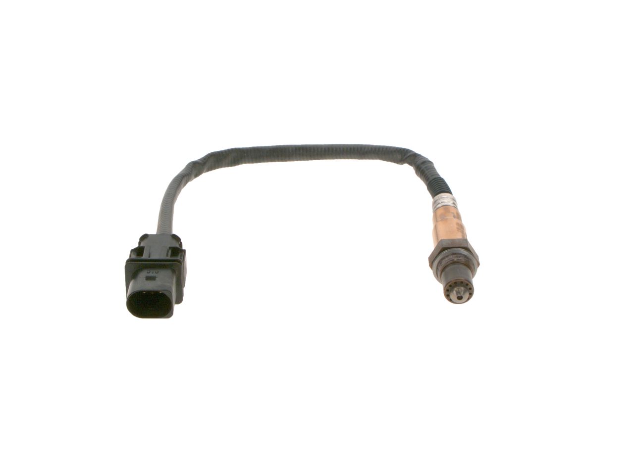 Oxygen Sensor-2