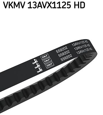 SKF VKMV 13AVX1125 HD V-belt