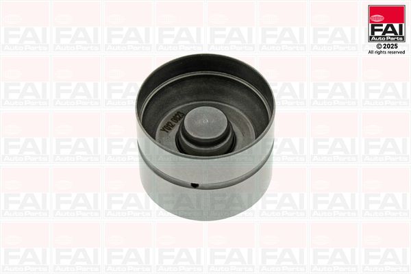 FAI AUTOPARTS BFS318S Tappet