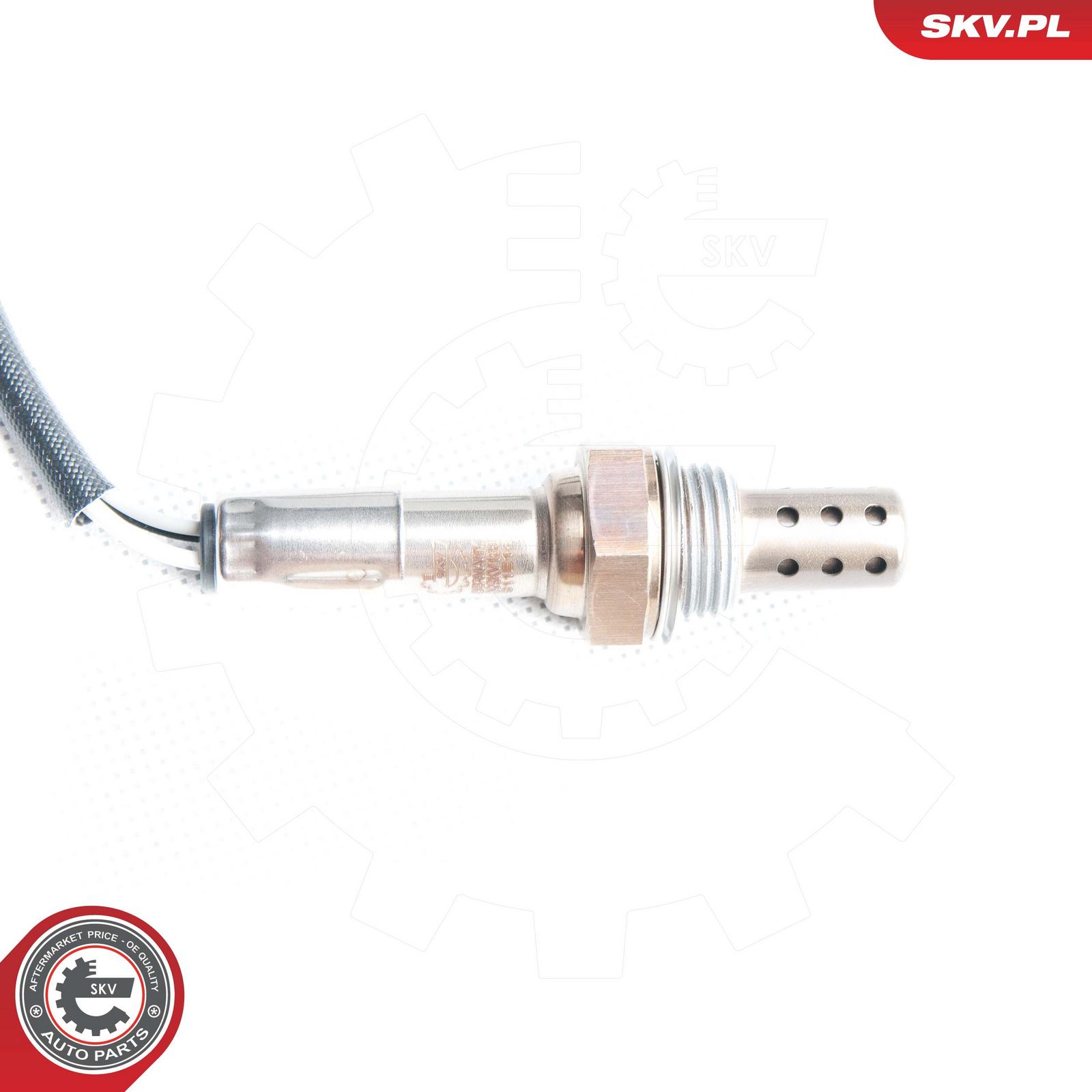 Oxygen Sensor-2