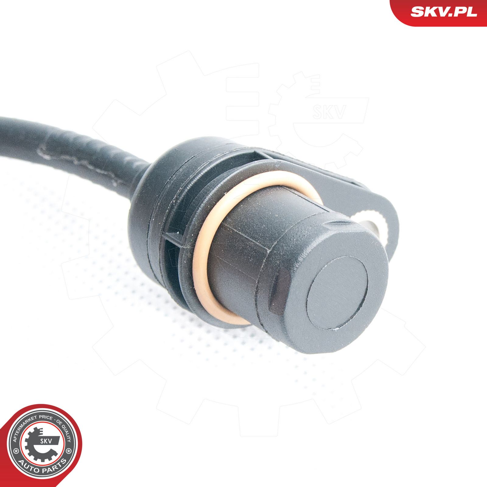 Steering Angle Sensor-2