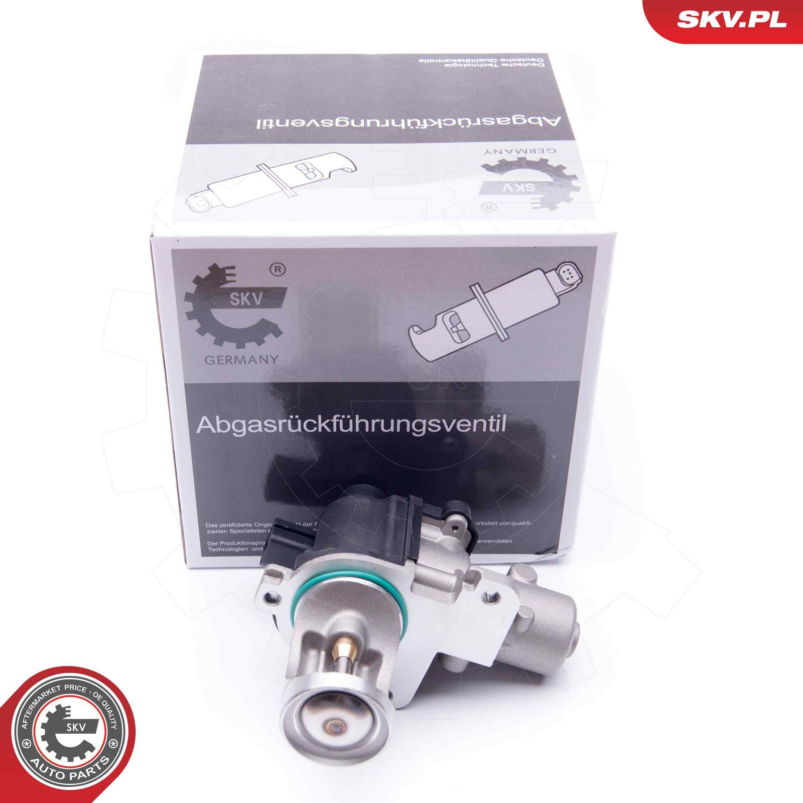 EGR Valve-4