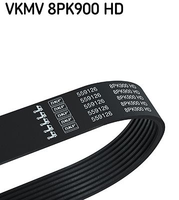 SKF VERTEVO VKMV 8PK900 HD V-ribbed belt