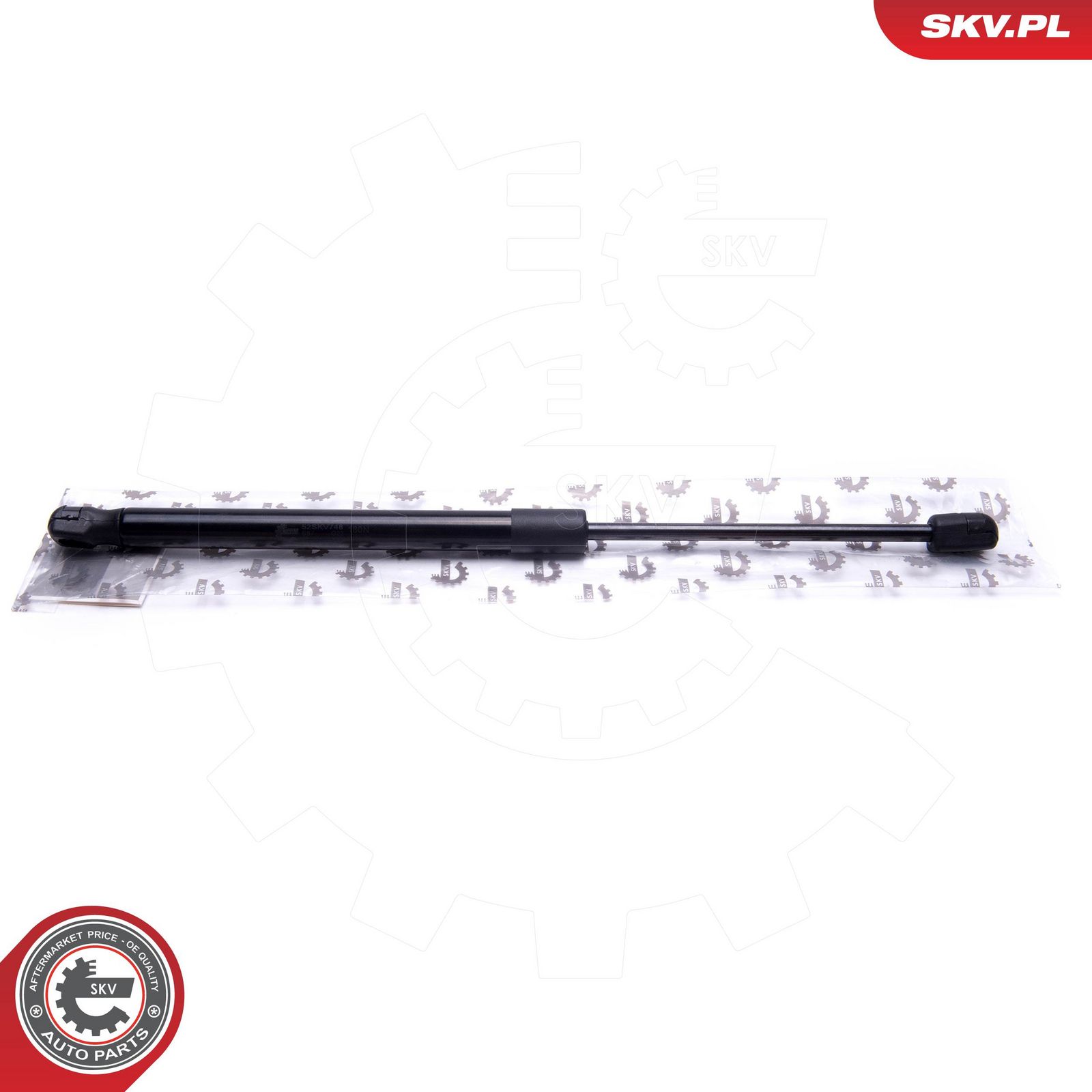 Gas Spring, boot/cargo area