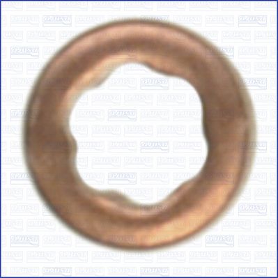 Seal Ring, nozzle holder-1