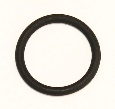ELRING 793.200 Seal ring, oil line