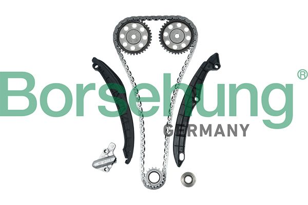 BORSEHUNG B16300 Timing chain kit