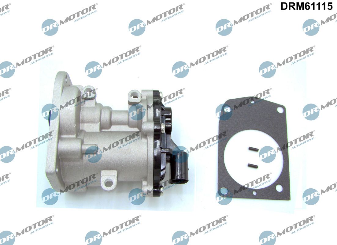 EGR Valve