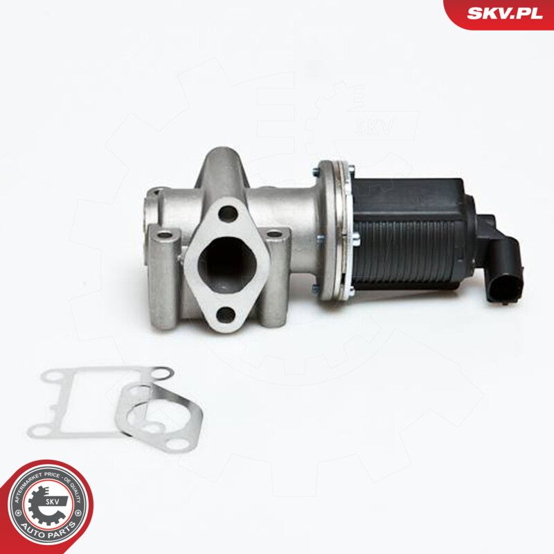 EGR Valve-1