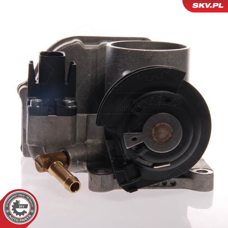 Throttle Body-1