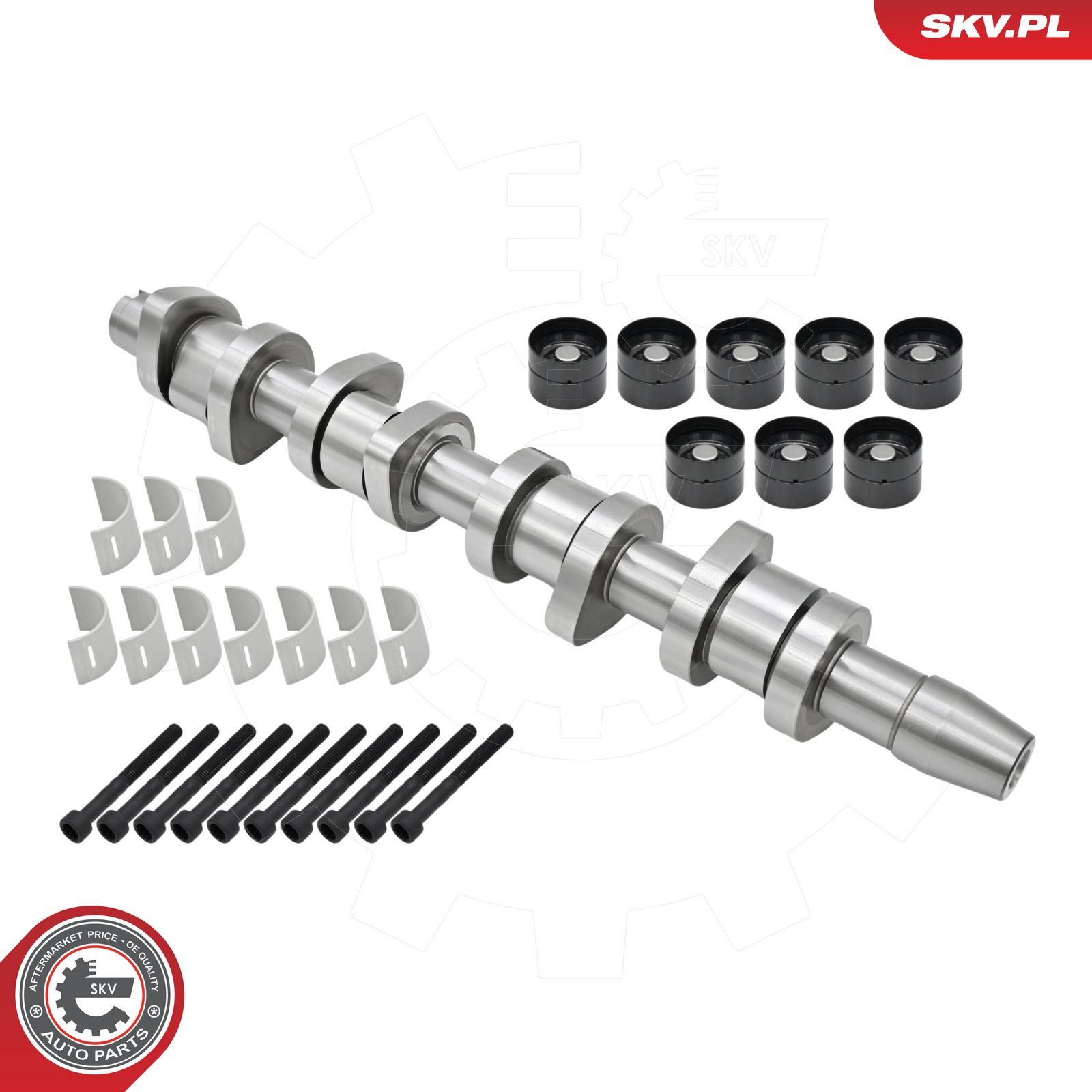ESEN SKV 80SKV306 Camshaft kit