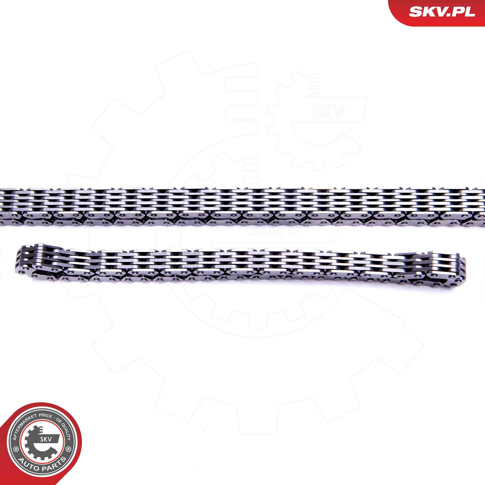 Timing Chain Kit