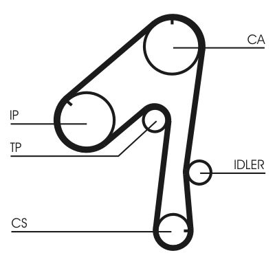 CONTINENTAL CTAM CT786 Timing belt