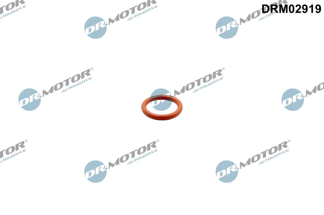 DR.MOTOR AUTOMOTIVE DRM02919 Gasket, oil outlet (charger)