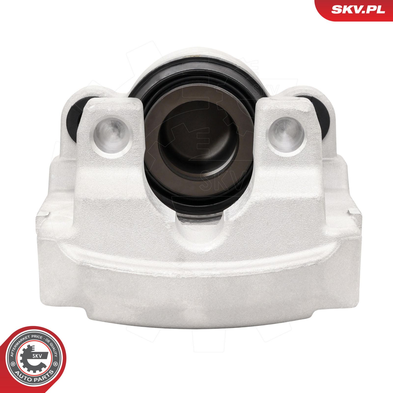 Brake Caliper-1
