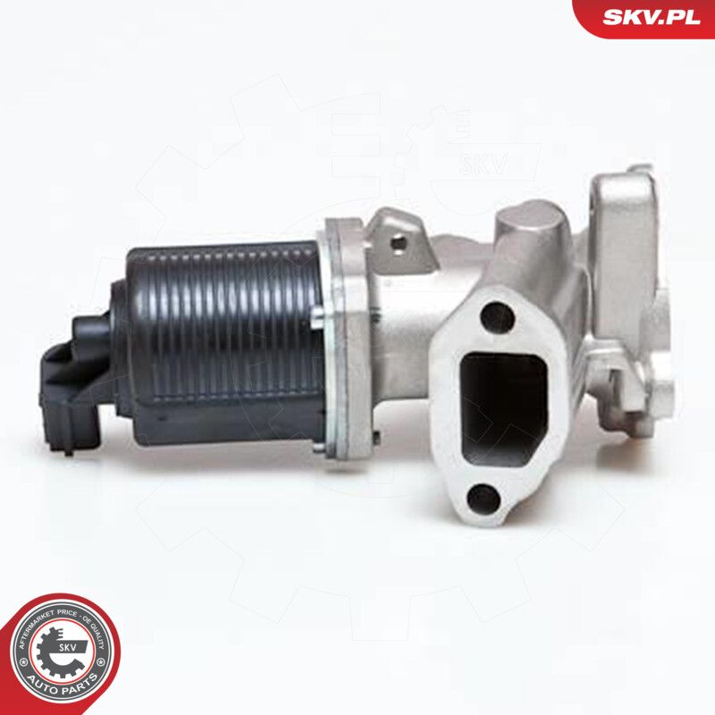 EGR Valve-6