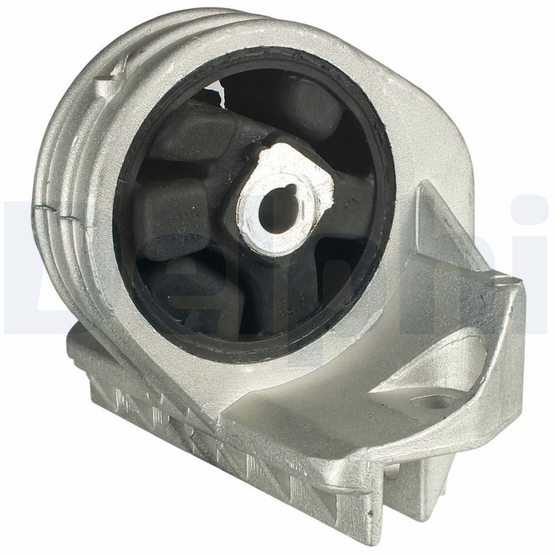 DELPHI TEM050 Mounting, engine