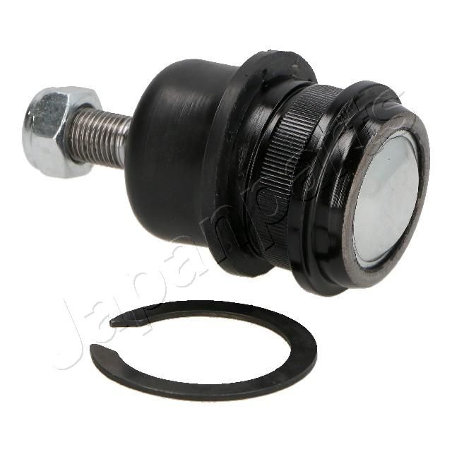 Šarnyras / girgždukas-1