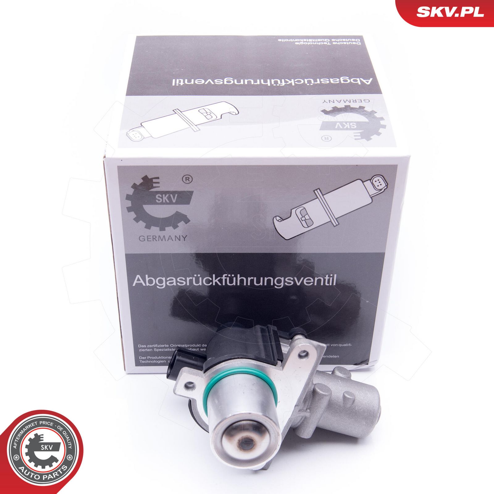 EGR Valve-5