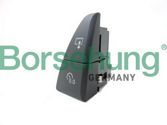 BORSEHUNG B18599 Multi-function switch