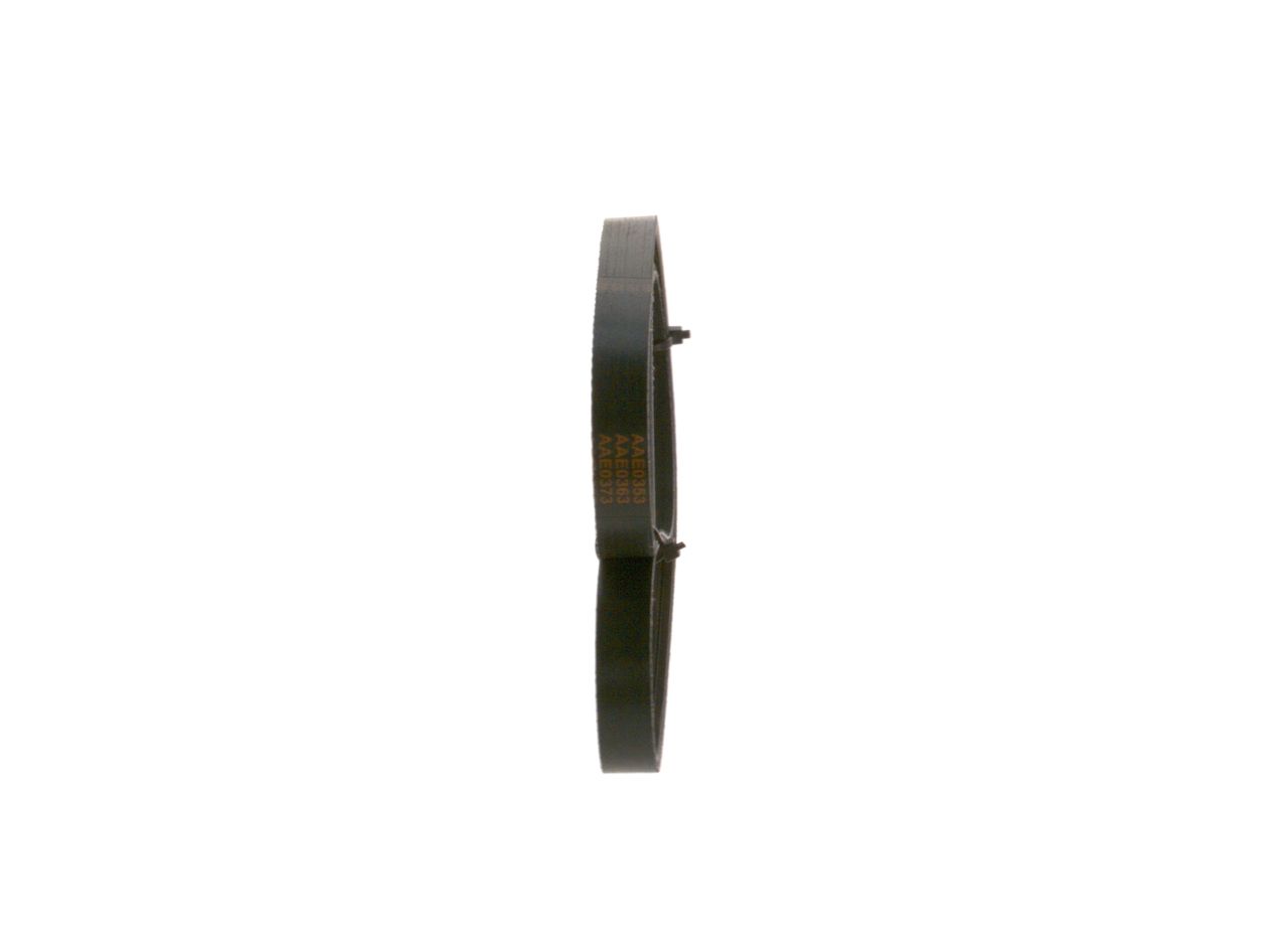 V-ribbed Belt-1