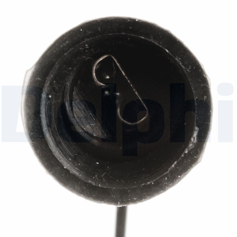 Oxygen Sensor-1