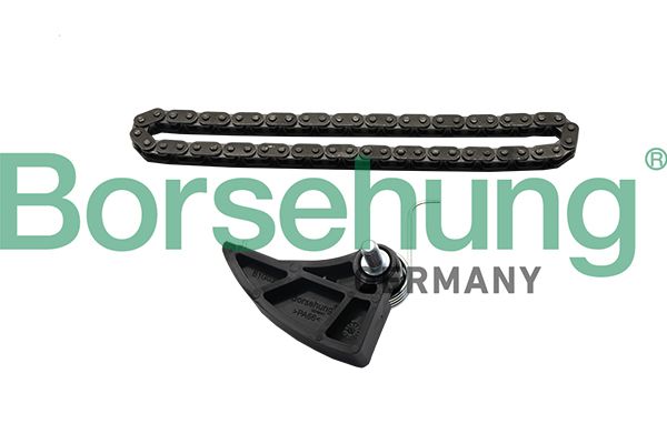 BORSEHUNG B19287 Chain kit, oil pump drive