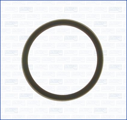 Seal, thermostat-1