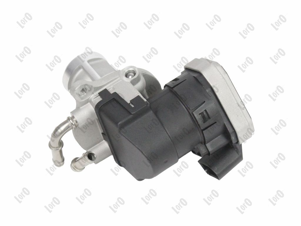 EGR Valve-1