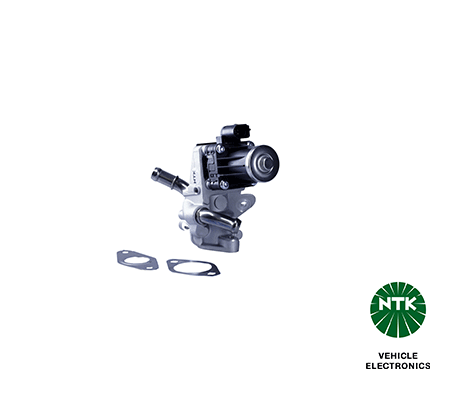 EGR Valve-1