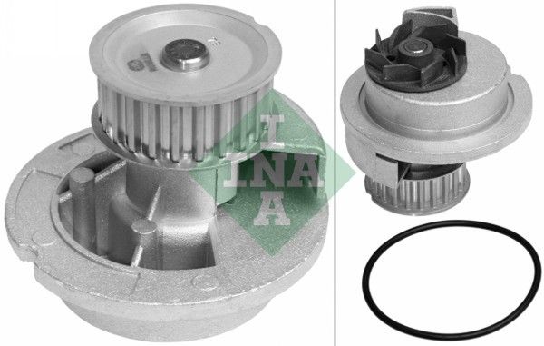 SCHAEFFLER INA 538 0030 10 Water pump, engine cooling