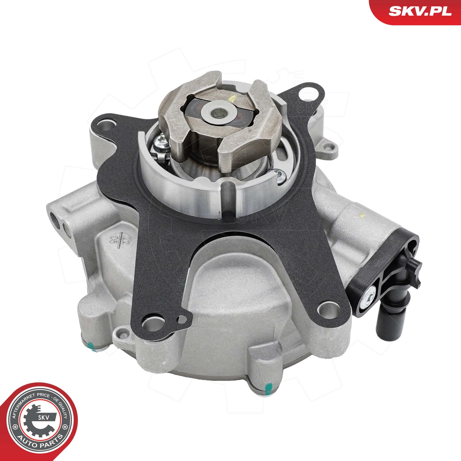 ESEN SKV 18SKV087 Vacuum pump, braking system