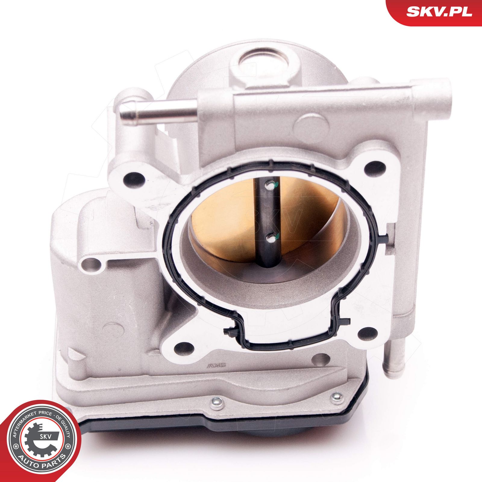 Throttle Body-1