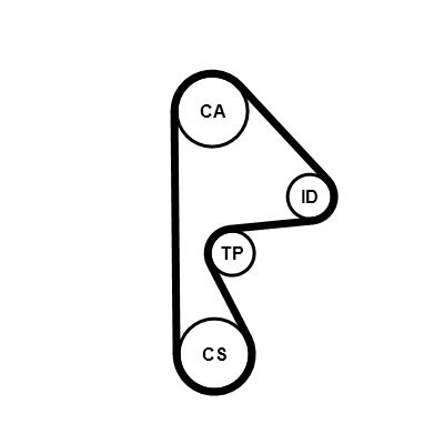 Timing Belt-1