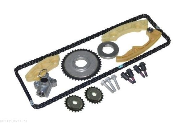 AUTOMEGA 130130710 Timing chain kit