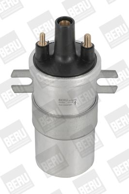 BORGWARNER (BERU) ZS565 Ignition coil