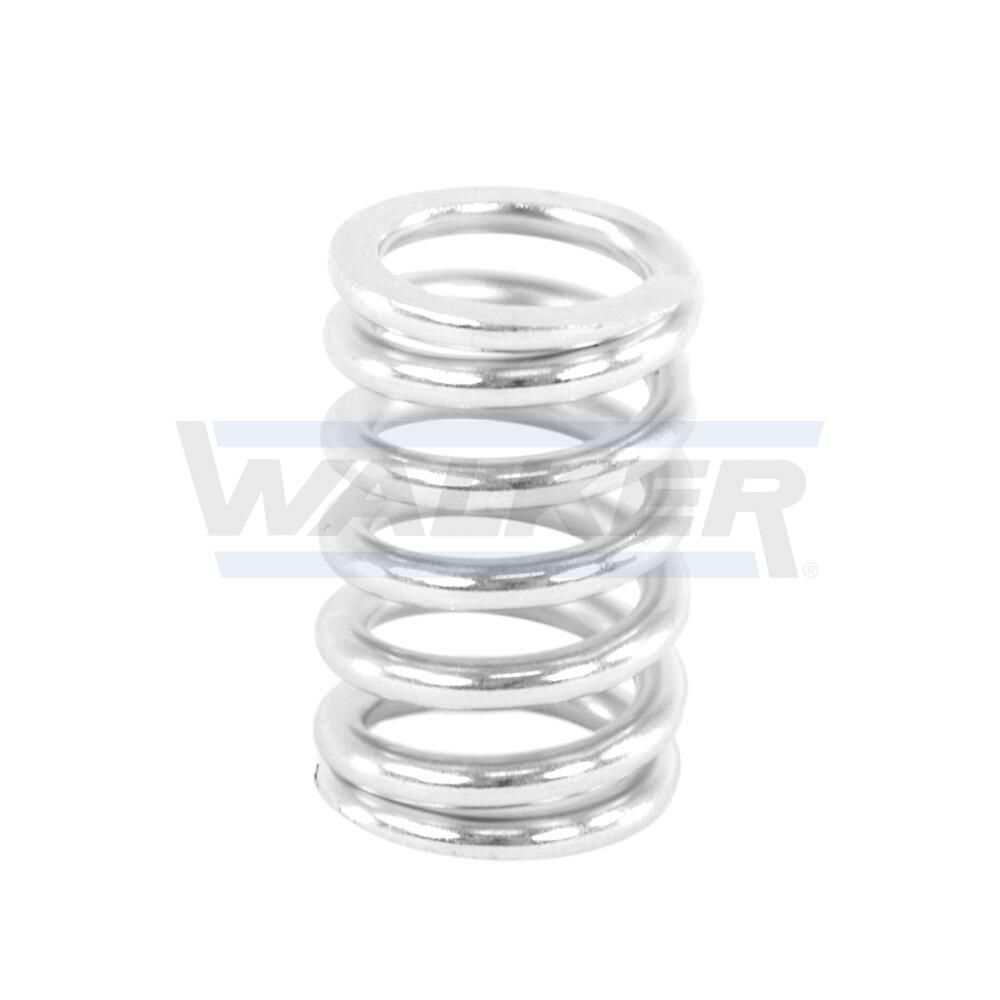 Spring, muffler-4