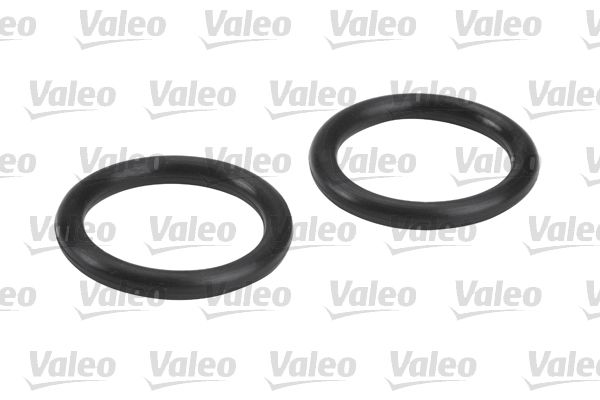 Fuel Filter-4