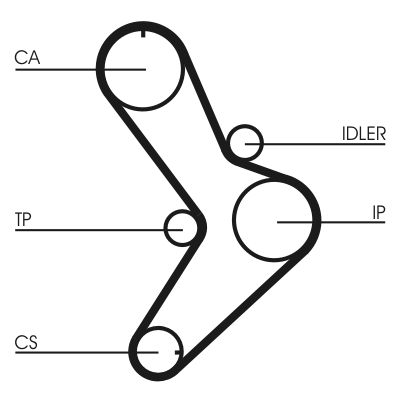 Timing Belt-1