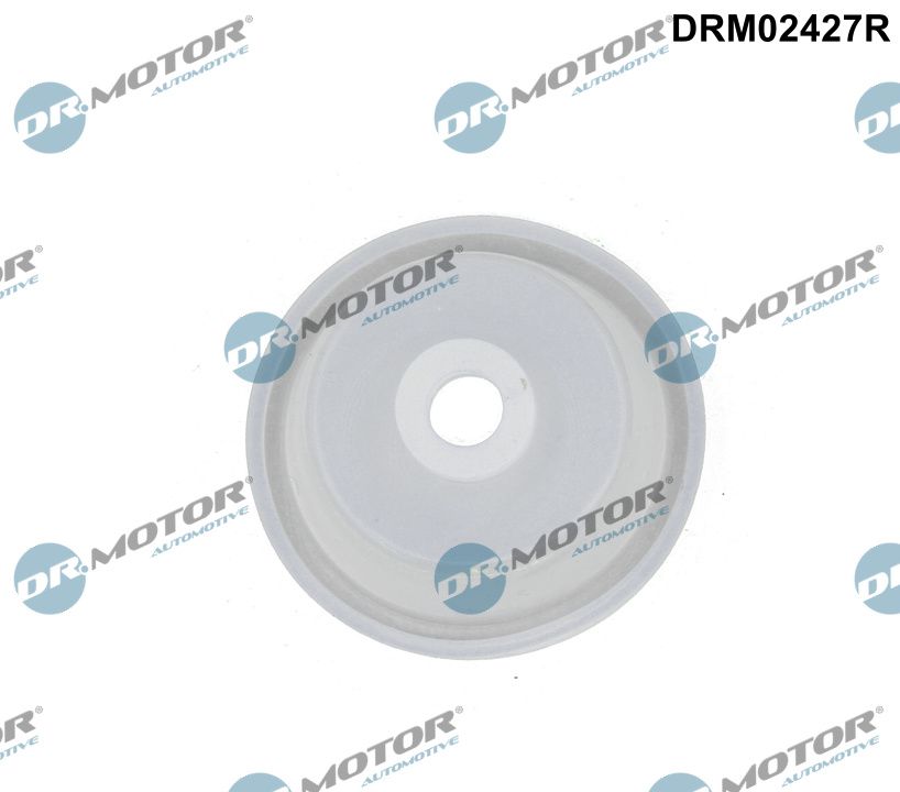 DR.MOTOR AUTOMOTIVE DRM02427R Valve, air control (intake air)