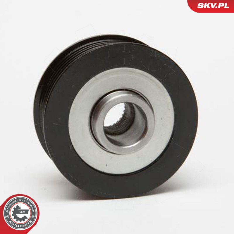 Alternator Freewheel Clutch-1