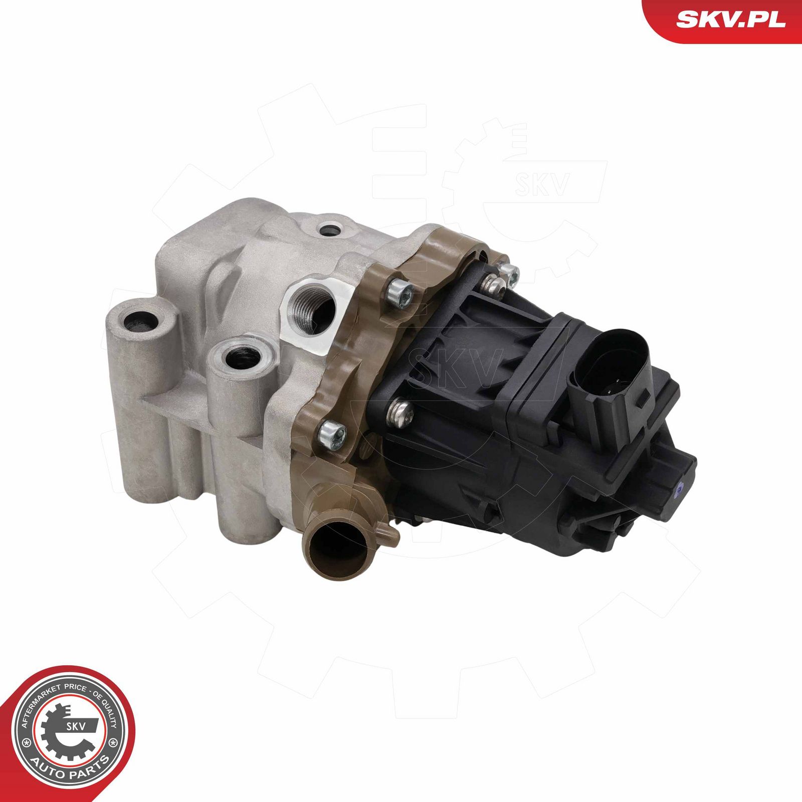 EGR Valve-2