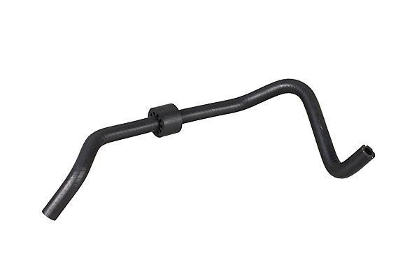 Radiator Hose-main