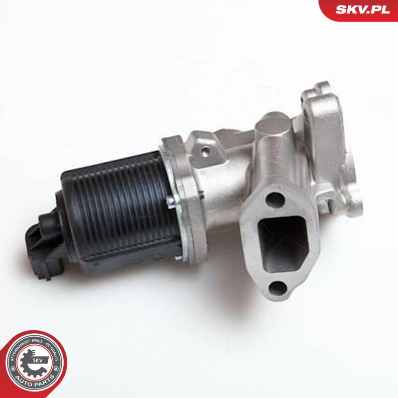 EGR Valve-4