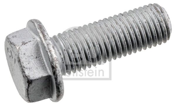 Bolt, brake caliper