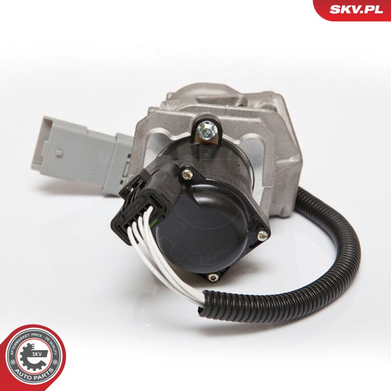 EGR Valve-2
