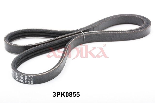 ASHIKA 112-3PK855 V-ribbed belt