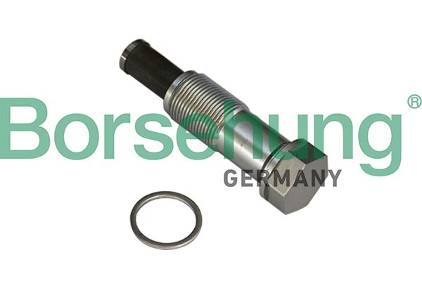 BORSEHUNG B1T020 Tensioner, timing chain