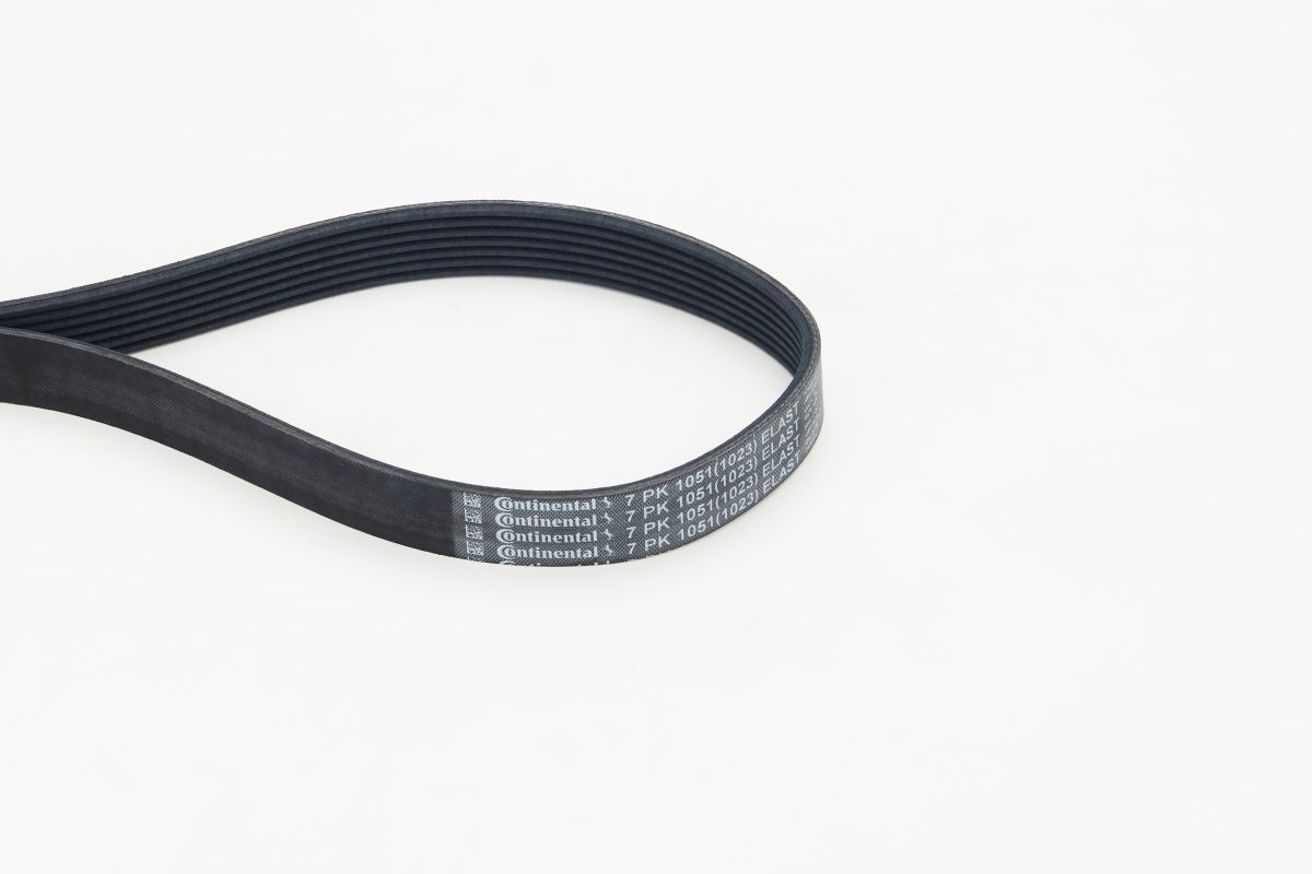CONTINENTAL CTAM 7PK1051 ELAST V-ribbed belt